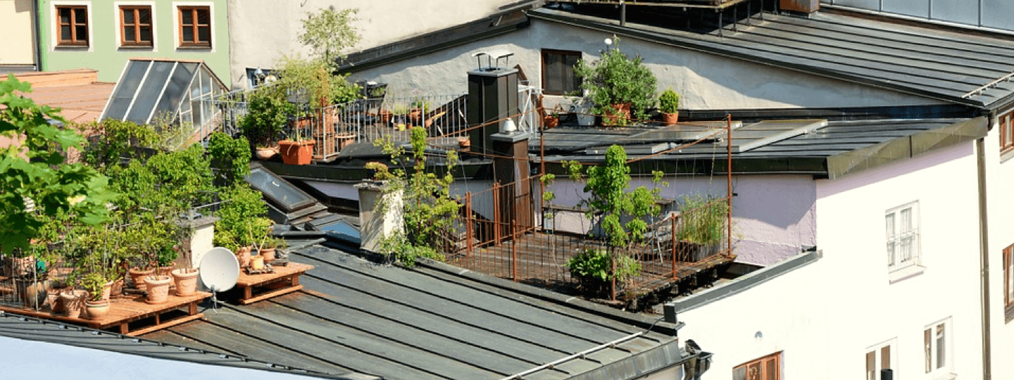 Small gardens on a rooftop