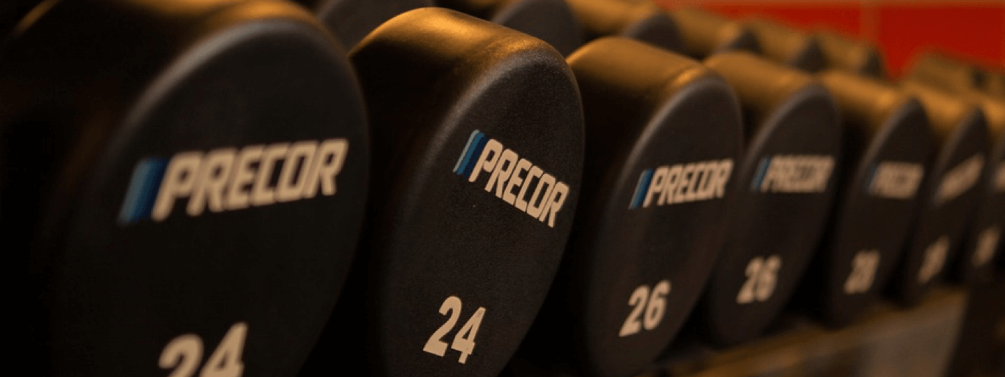 A row of free weights within a gym