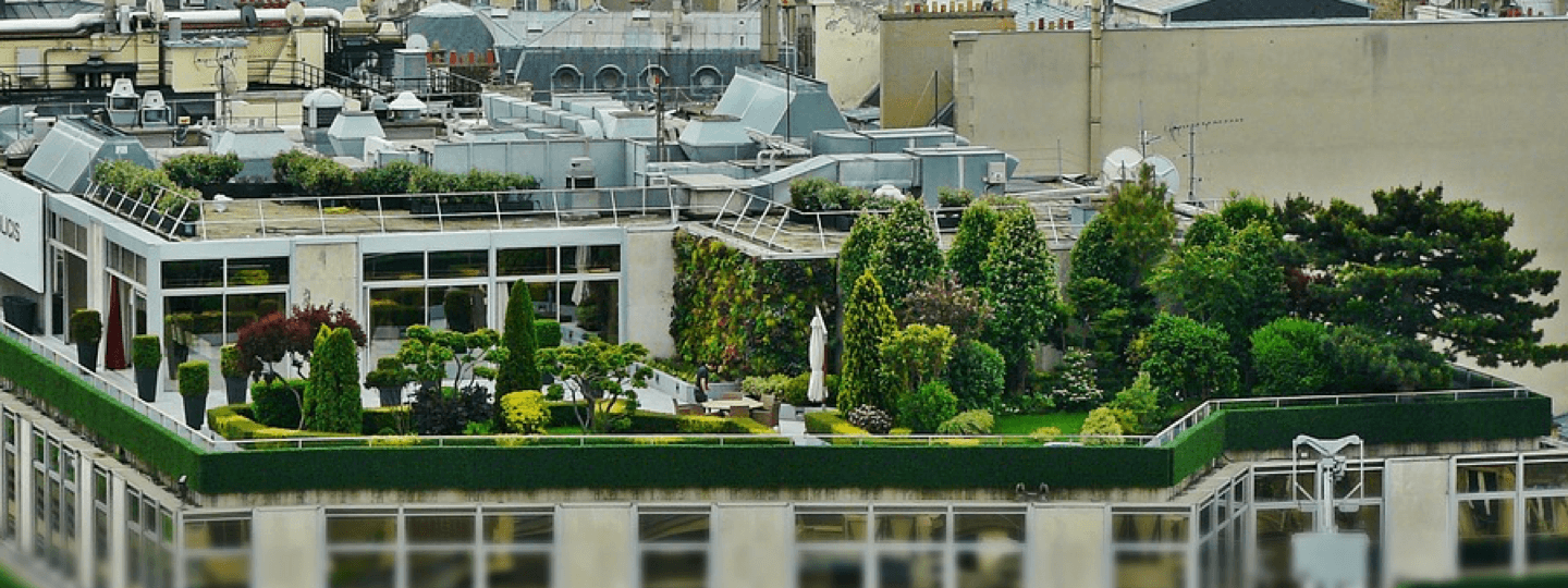 A very lush and manicured large garden area on top of a building