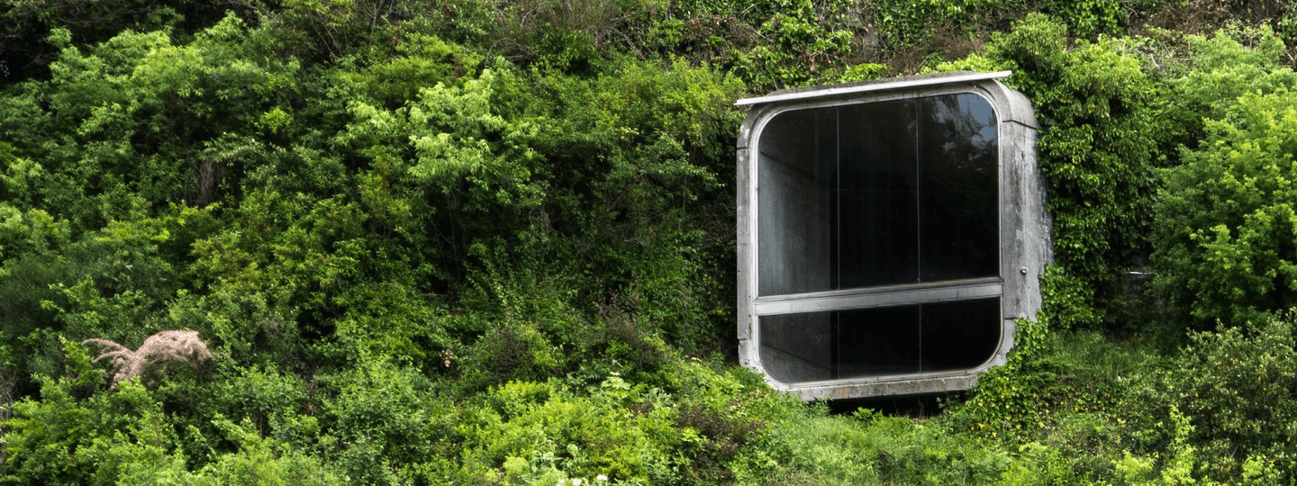 An odd dwelling emerges from thick trees and bushes