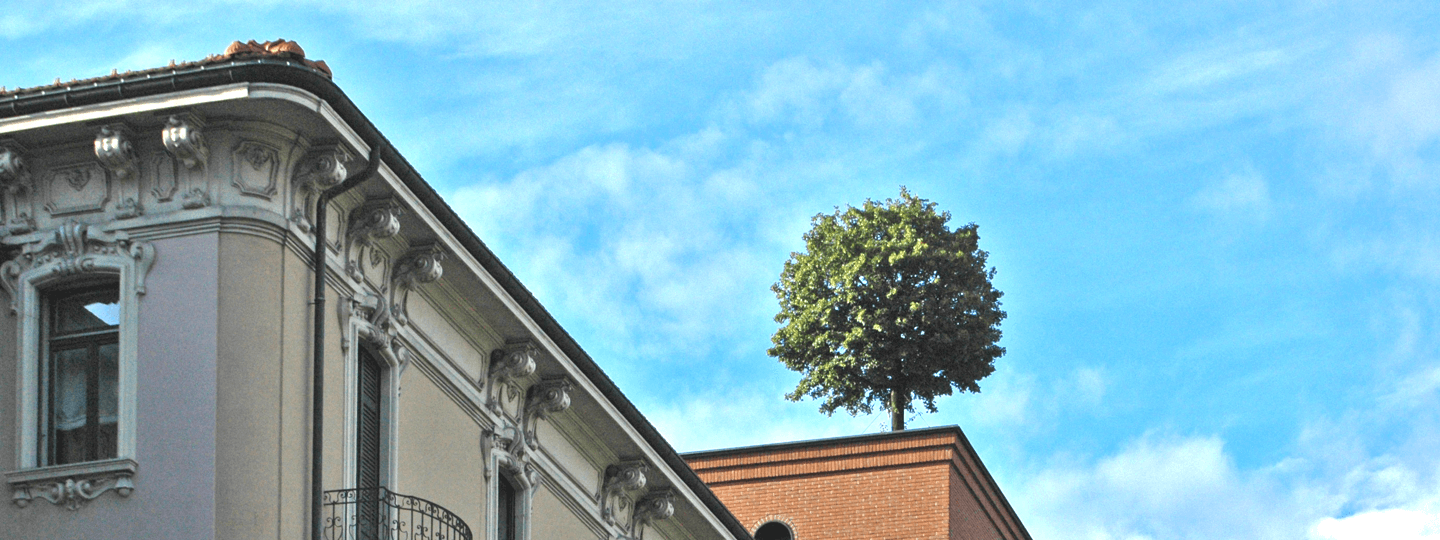 A tree sits on top of a brick building on a blue sky day