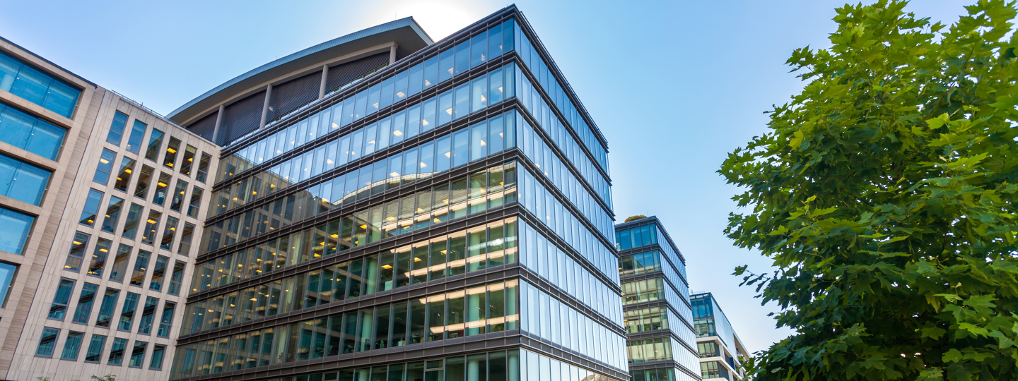 A tree next to glass office buildings and a blue sky