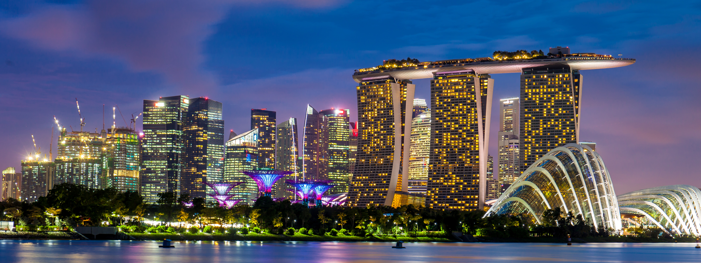 Unique high rise buildings and a large skyline at dusk