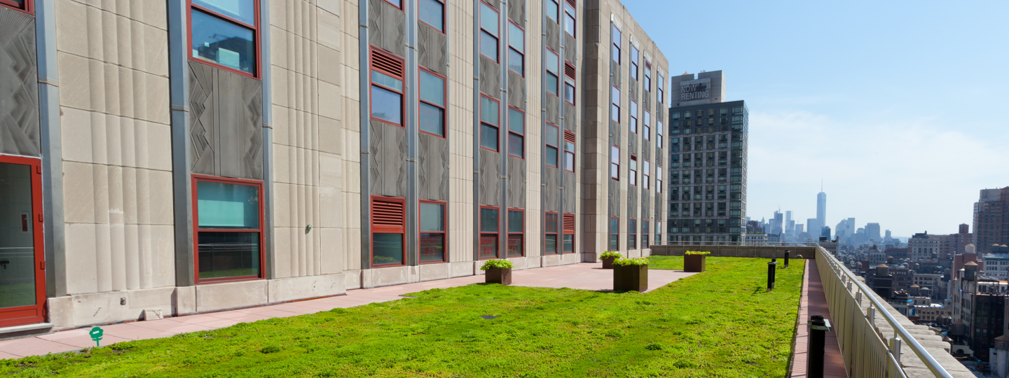 A large grassy terrace near the top of a New York City high rise building