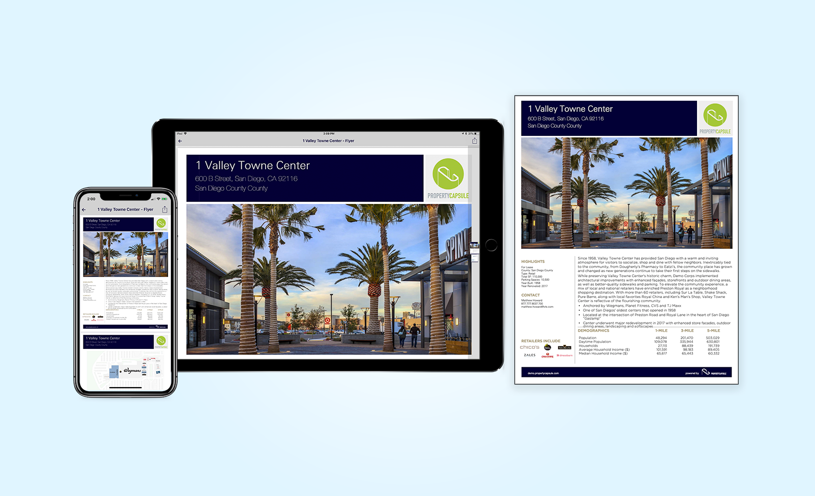 PropertyCapsule_Marketing_Flyer